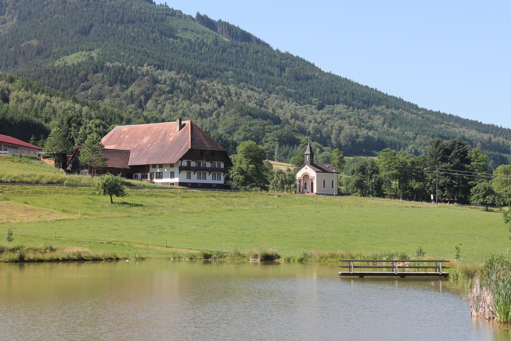 Отель Haus Traudel Matt Эльцах Экстерьер фото